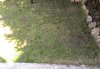 IMG_20200319_131426.jpg