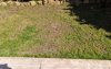 IMG_20200319_131434.jpg