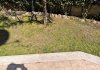 IMG_20200319_131443.jpg