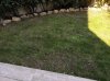 IMG_20200319_131541.jpg