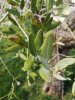 IMG_20200308_120104-min.jpg