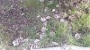 20200313_101136.jpg