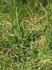 IMG_2124.JPG