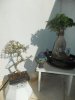 DSCN1737.jpg
