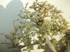 DSCN1735.jpg