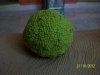 100_2326.jpg