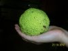 100_2324.jpg