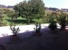 foto 7.jpg