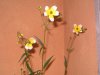 100_0016.jpg