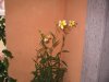 100_0017.jpg
