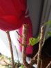 20121101_104105.jpg