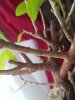 20121101_104221.jpg