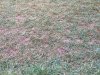 20200407_080051.jpg 20200407_080051.jpg
