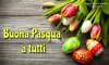 pasqua_015-800x480.jpg