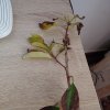 20200416_170239.jpg 20200416_170239.jpg
