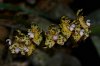 DSC_6872.JPG