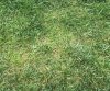 0C957350-C6D0-498A-B7C1-5F523EE345A3.jpeg
