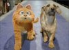 http---media.cineVJVblog.it-e-e5c-stasera-in-tv-su-italia-1-garfield-il-film-5.jpg