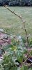 IMG_20200425_203112bis.jpg