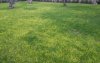 20121106_071724.jpg