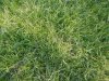20121106_162556.jpg