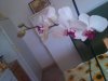 IMG_20121106_142051.jpg