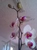 IMG_20121106_142111.jpg
