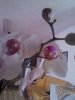 IMG_20121106_142118.jpg
