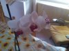 IMG_20121106_142043.jpg