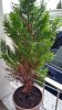 IMG_20200428_123458386_HDR.jpg
