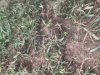 09367720-0C84-4480-A265-CF0B2B8379E5.jpeg