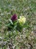 DSC05105.JPG