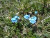 DSC05107.JPG