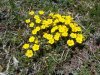 DSC05108.JPG