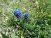 DSC05120.JPG