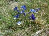 DSC05129.JPG