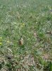 DSC05131.JPG