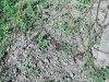 IMG20200503171234_resize_90.jpg