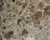20200509_1900166.jpg