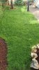 20200508_082442_resize_33.jpg