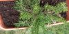 SAVE_20200513_153526.jpg