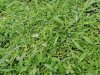 IMG-20200517-WA0010.jpg