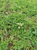 IMG-20200517-WA0011.jpg
