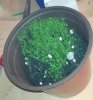 IMG_20200519_224410.jpg