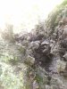IMG_20200520_174652.jpg
