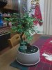 2012-12-14 01.05.39.jpg