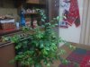 2012-12-14 01.05.48.jpg