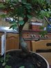 2012-12-14 01.06.25.jpg