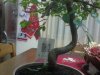2012-12-14 01.06.35.jpg
