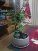 2012-12-14%2001_05_39.jpg